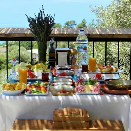 Kabak Misafir Evi فاراليا