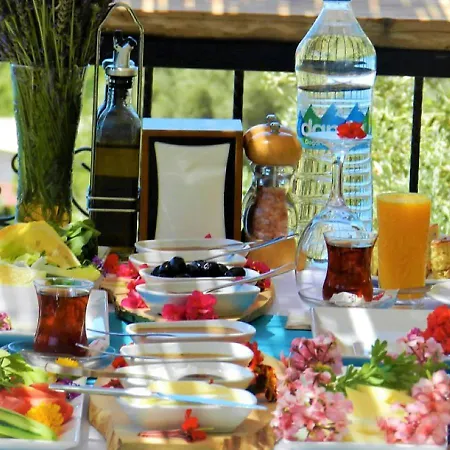 موتيل Kabak Misafir Evi *